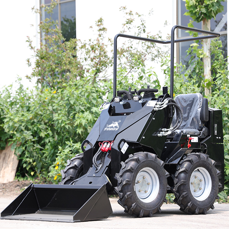 Best Price And Good Condition  - огляд і ціна Skid Steer Loader