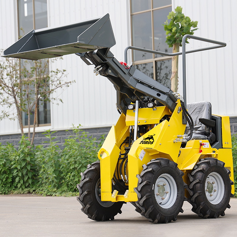 Best Price And Good Condition  - огляд і ціна Skid Steer Loader