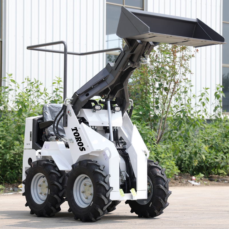 Best Price And Good Condition  - огляд і ціна Skid Steer Loader